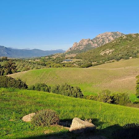 Sarragia Ferme De Roccapina B&B 외부 사진