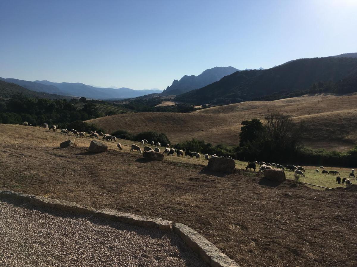 Sarragia Ferme De Roccapina B&B 외부 사진