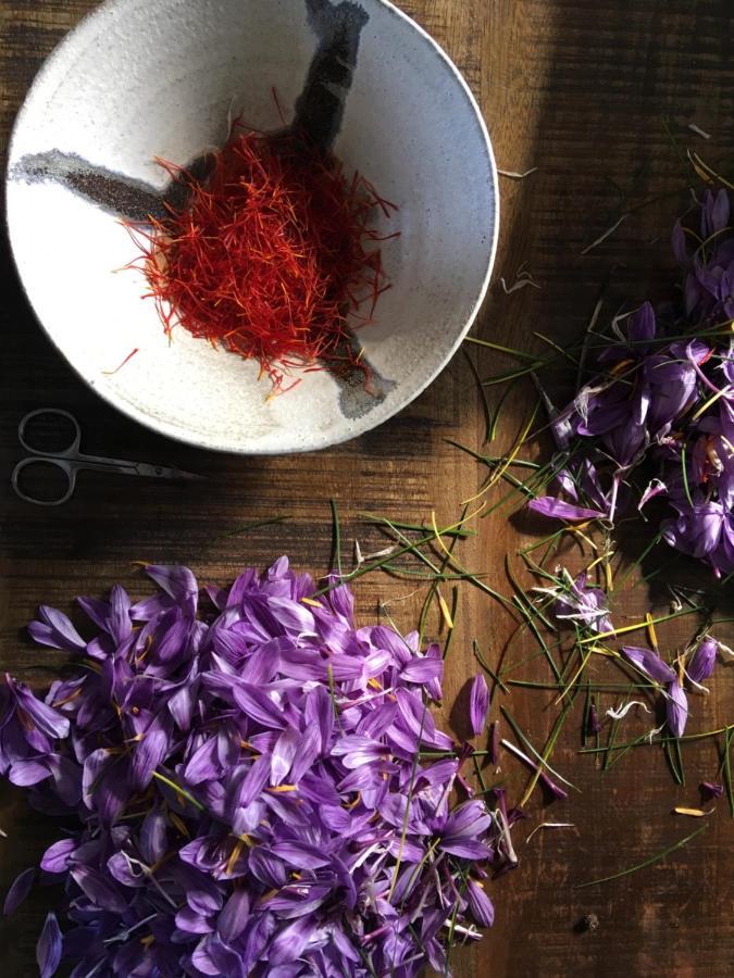 Sarragia Ferme De Roccapina B&B 외부 사진
