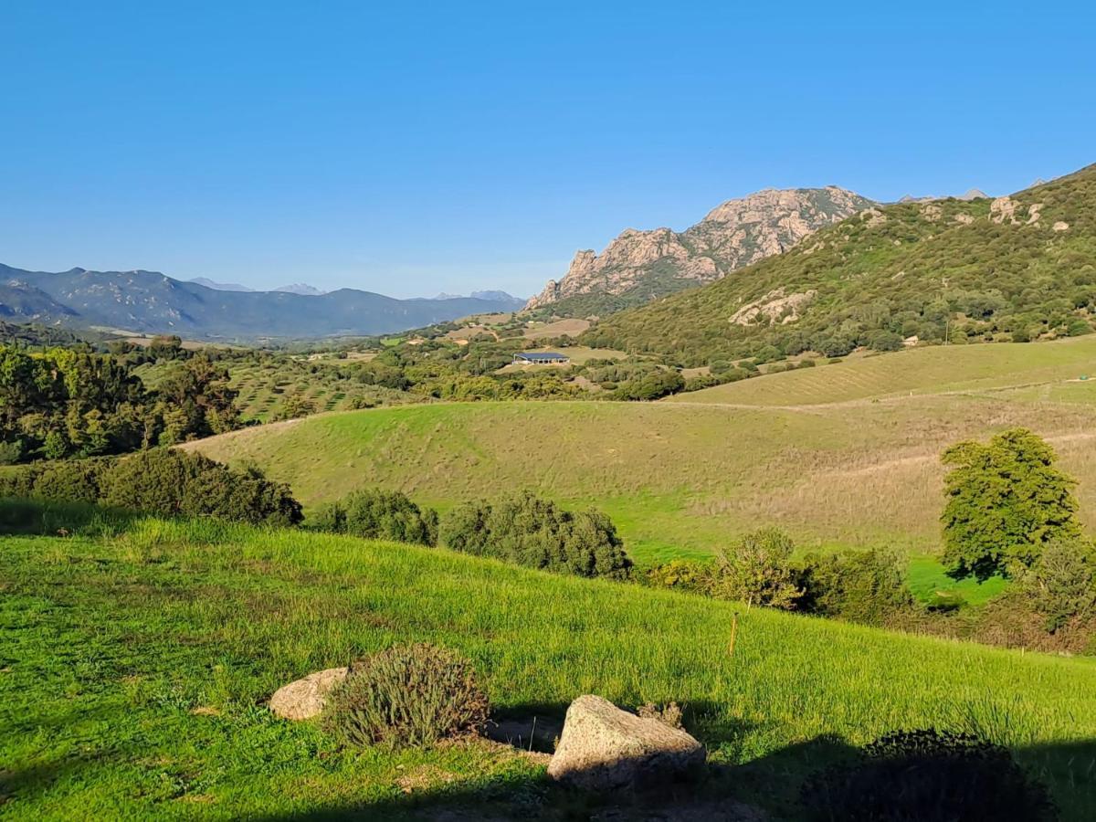 Sarragia Ferme De Roccapina B&B 외부 사진